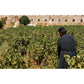 Balsamico Essig-Gold Agia Triada-Kreta